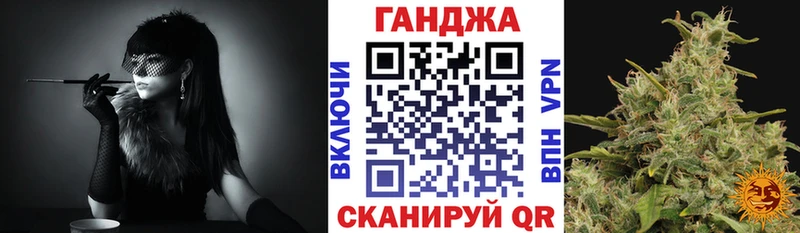 Конопля гибрид  Северо-Курильск 